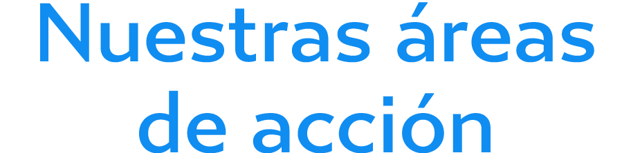 Nuestras áreas de acción